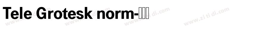 Tele Grotesk norm字体转换